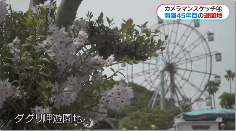 image_thumb[11]