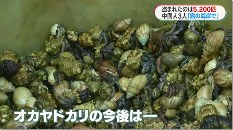 image_thumb[3]