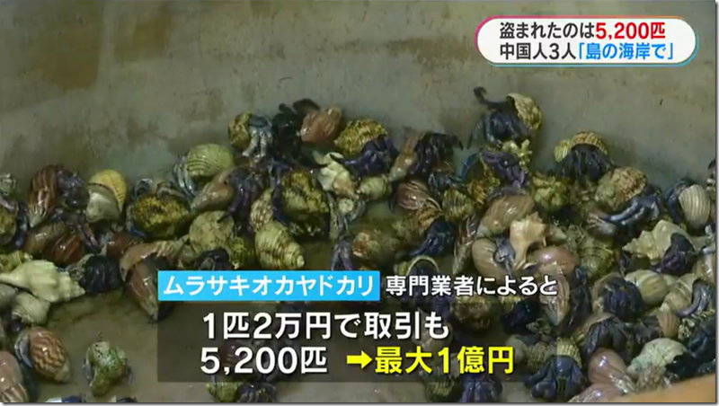 image_thumb[5]