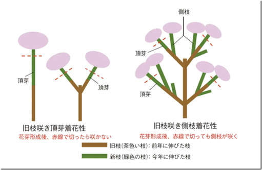 image_thumb[3]